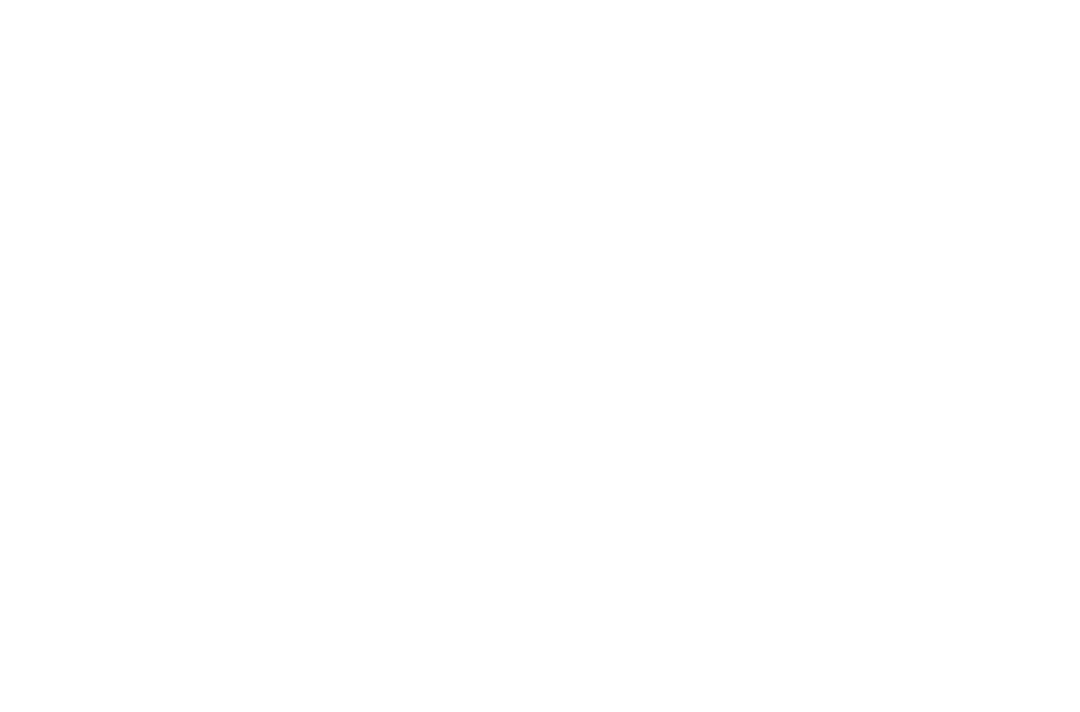 IBI logo